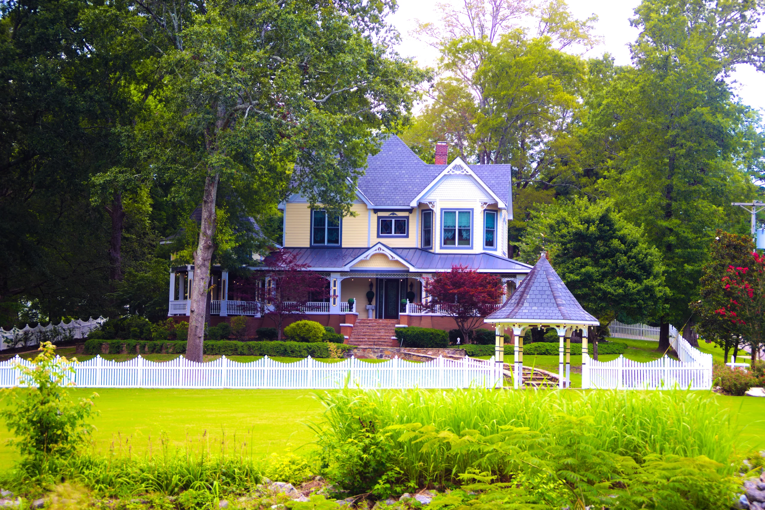 The Painted Lady