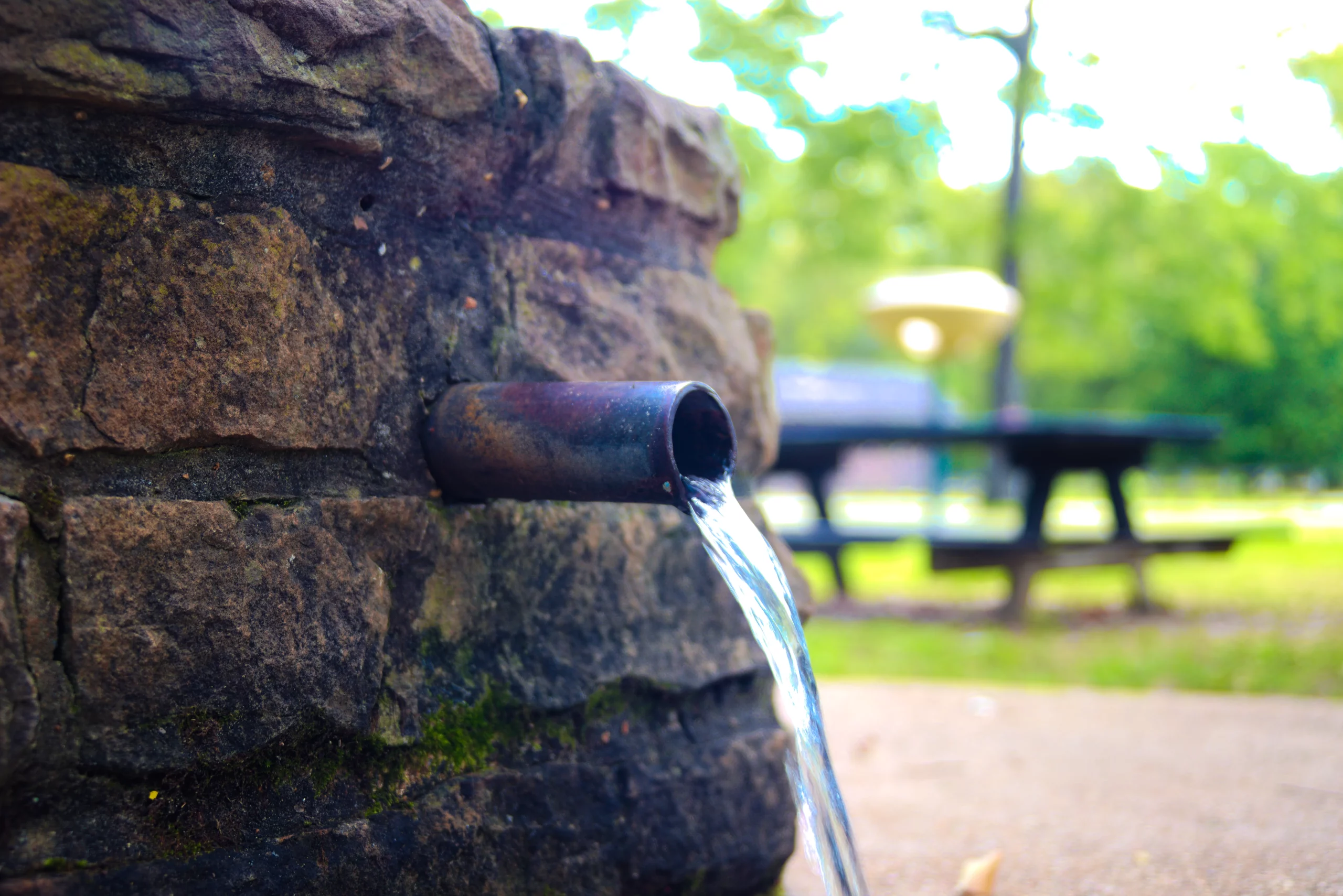 Mineral Springs Park