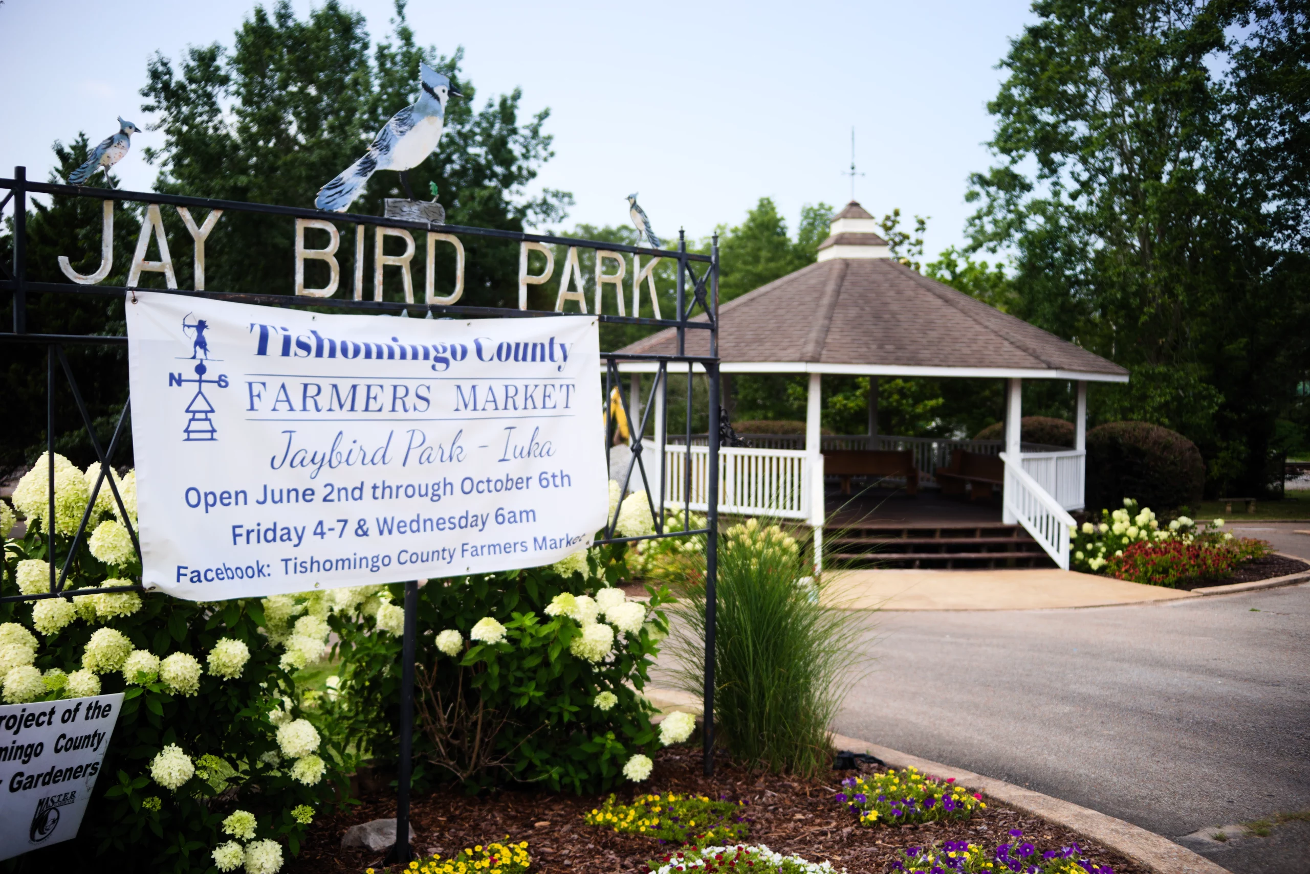 Iuka community photo